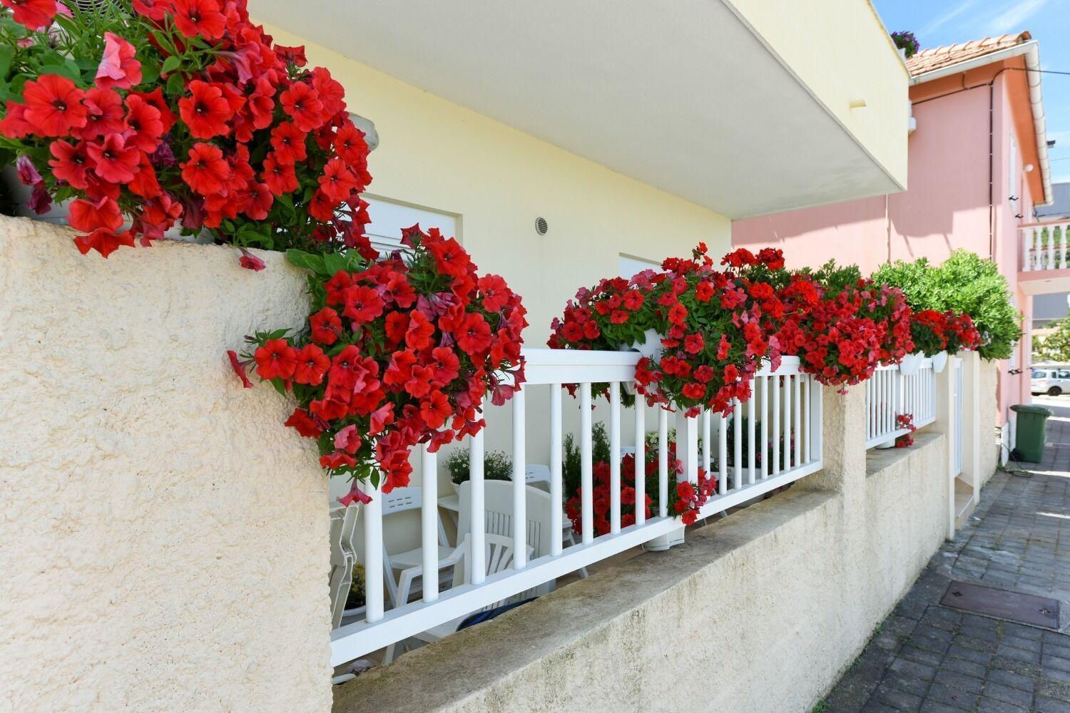 Apartments Kolt - 15M From Sea Kali Kültér fotó